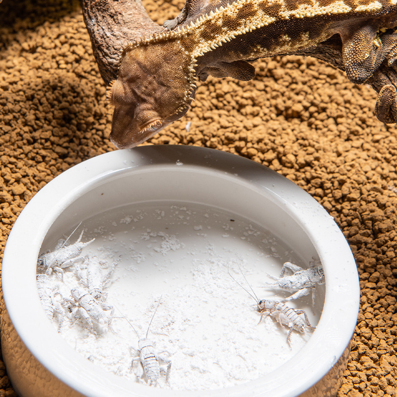 SuperRep Reptile Calcium Pro-V - Vitamin D3 Reptile のレビューと価格