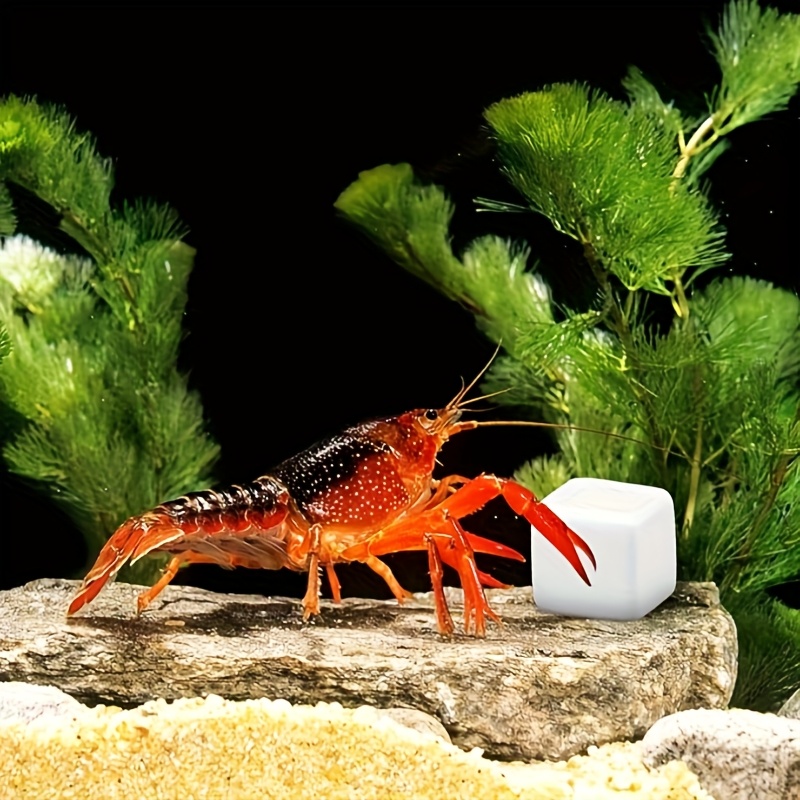 6 Pcs Fish Tank Calcium Block  - Calcium Powder Reptile のレビューと価格