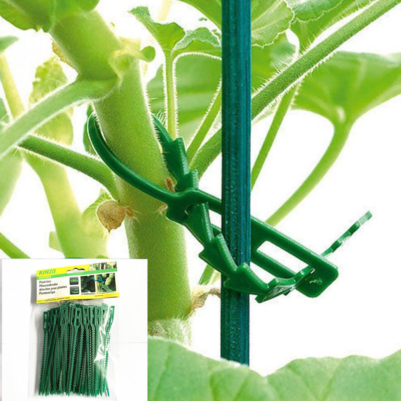 13cm Adjustable Plastic Plant  - Vine Climbing Plastic のレビューと価格