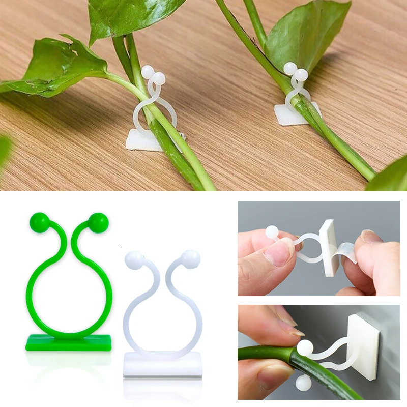 Plant Climbing Wall Self-Adhes - Vine Climbing Plastic のレビューと価格