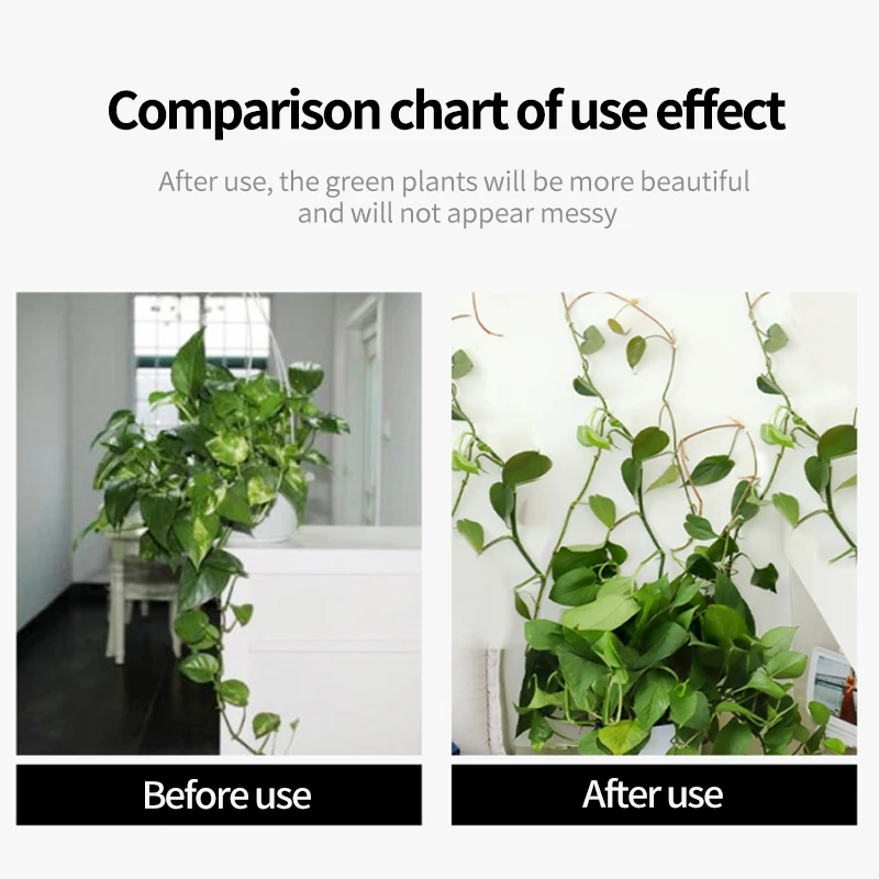 Plant Climbing Wall Self-Adhes - Vine Climbing Plastic のレビューと価格